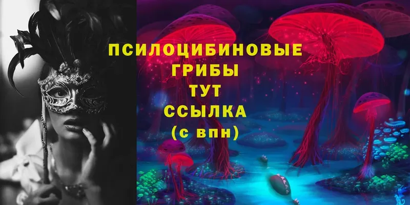 цена наркотик  Любим  kraken рабочий сайт  Псилоцибиновые грибы Psilocybe 